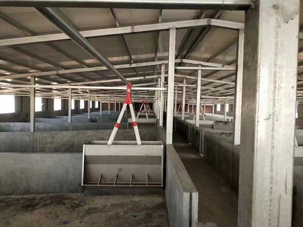 豬自動喂料設(shè)備